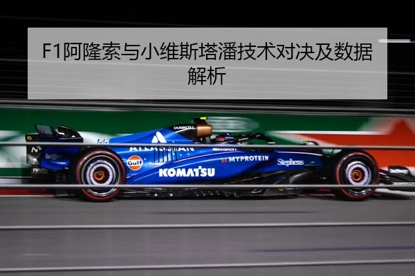 F1阿隆索与小维斯塔潘技术对决及数据解析