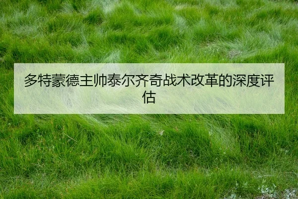 多特蒙德主帅泰尔齐奇战术改革的深度评估
